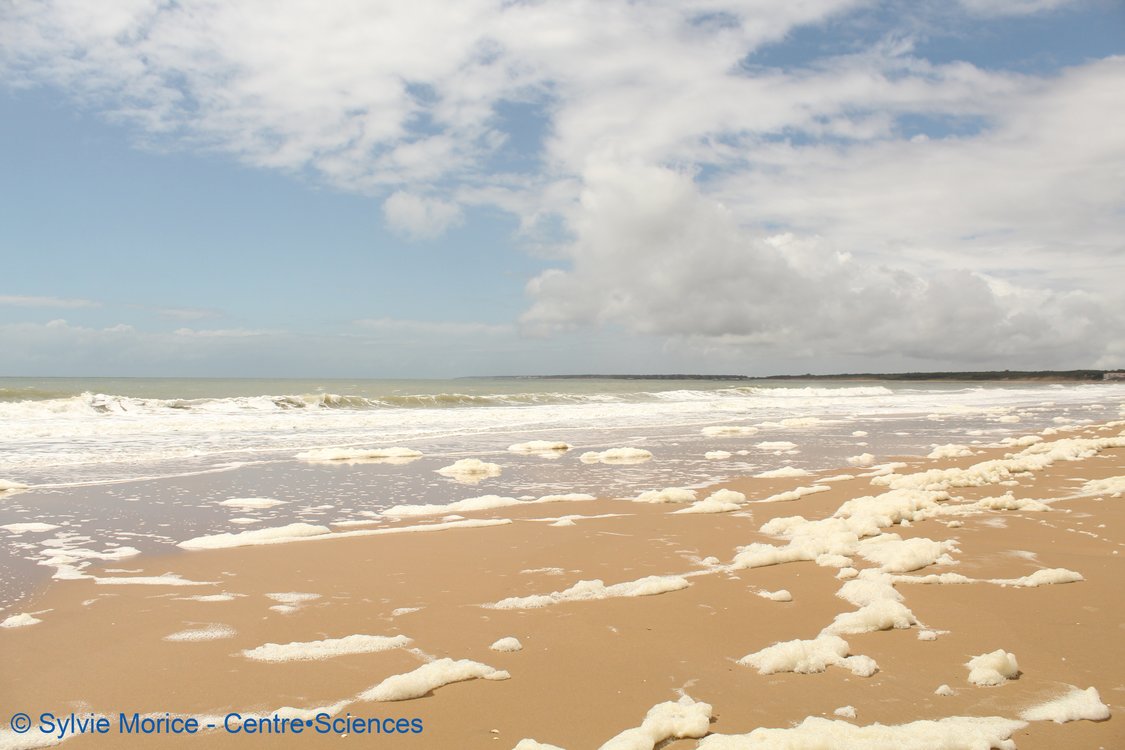 Pourquoi l'eau de mer créée de la mousse sur la plage ?