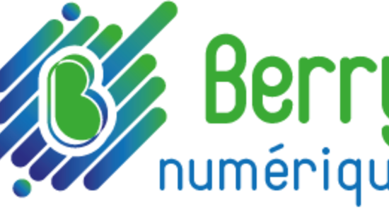 Lg logo berry numerique quadri